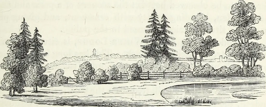An illustration from The landscape gardening and landscape architecture of the late Humphry Repton, esq., being his entire works on these subjects : ...with historical and scientific introduction, a systematic analysis, a biographical notice, notes, and copious alphabetical index, 1840, leaf 520