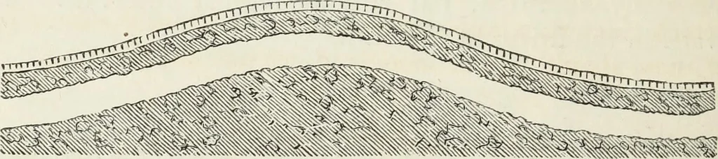 An illustration from The landscape gardening and landscape architecture of the late Humphry Repton, esq., being his entire works on these subjects : ...with historical and scientific introduction, a systematic analysis, a biographical notice, notes, and copious alphabetical index, 1840, leaf 597