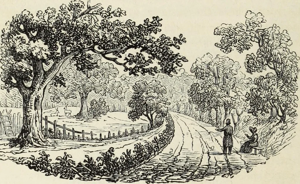 An illustration from The landscape gardening and landscape architecture of the late Humphry Repton, esq., being his entire works on these subjects : ...with historical and scientific introduction, a systematic analysis, a biographical notice, notes, and copious alphabetical index, 1840, leaf 609