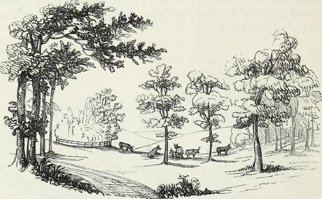 An illustration from The landscape gardening and landscape architecture of the late Humphry Repton, esq., being his entire works on these subjects : ...with historical and scientific introduction, a systematic analysis, a biographical notice, notes, and copious alphabetical index, 1840, leaf 83