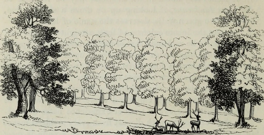 An illustration from The landscape gardening and landscape architecture of the late Humphry Repton, esq., being his entire works on these subjects : ...with historical and scientific introduction, a systematic analysis, a biographical notice, notes, and copious alphabetical index, 1840, leaf 105