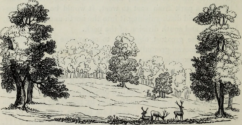 An illustration from The landscape gardening and landscape architecture of the late Humphry Repton, esq., being his entire works on these subjects : ...with historical and scientific introduction, a systematic analysis, a biographical notice, notes, and copious alphabetical index, 1840, leaf 105