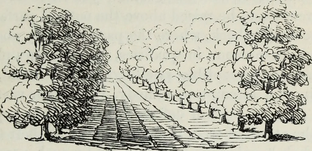 An illustration from The landscape gardening and landscape architecture of the late Humphry Repton, esq., being his entire works on these subjects : ...with historical and scientific introduction, a systematic analysis, a biographical notice, notes, and copious alphabetical index, 1840, leaf 106