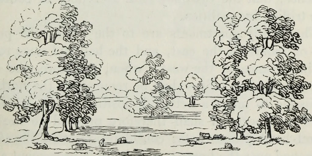 An illustration from The landscape gardening and landscape architecture of the late Humphry Repton, esq., being his entire works on these subjects : ...with historical and scientific introduction, a systematic analysis, a biographical notice, notes, and copious alphabetical index, 1840, leaf 106