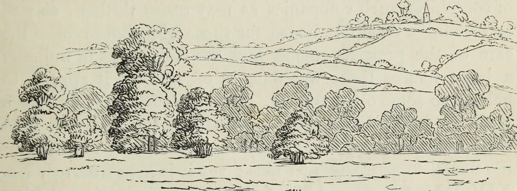 An illustration from The landscape gardening and landscape architecture of the late Humphry Repton, esq., being his entire works on these subjects : ...with historical and scientific introduction, a systematic analysis, a biographical notice, notes, and copious alphabetical index, 1840, leaf 122