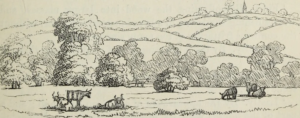 An illustration from The landscape gardening and landscape architecture of the late Humphry Repton, esq., being his entire works on these subjects : ...with historical and scientific introduction, a systematic analysis, a biographical notice, notes, and copious alphabetical index, 1840, leaf 122