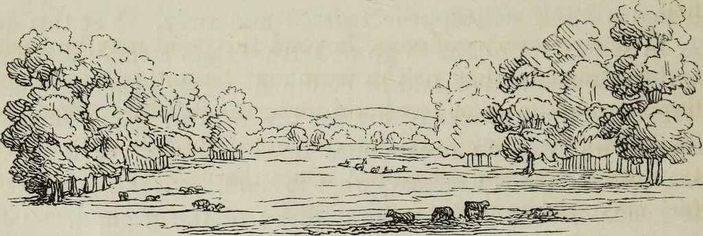 An illustration from The landscape gardening and landscape architecture of the late Humphry Repton, esq., being his entire works on these subjects : ...with historical and scientific introduction, a systematic analysis, a biographical notice, notes, and copious alphabetical index, 1840, leaf 129