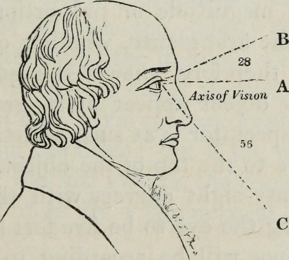 An illustration from The landscape gardening and landscape architecture of the late Humphry Repton, esq., being his entire works on these subjects : ...with historical and scientific introduction, a systematic analysis, a biographical notice, notes, and copious alphabetical index, 1840, leaf 188