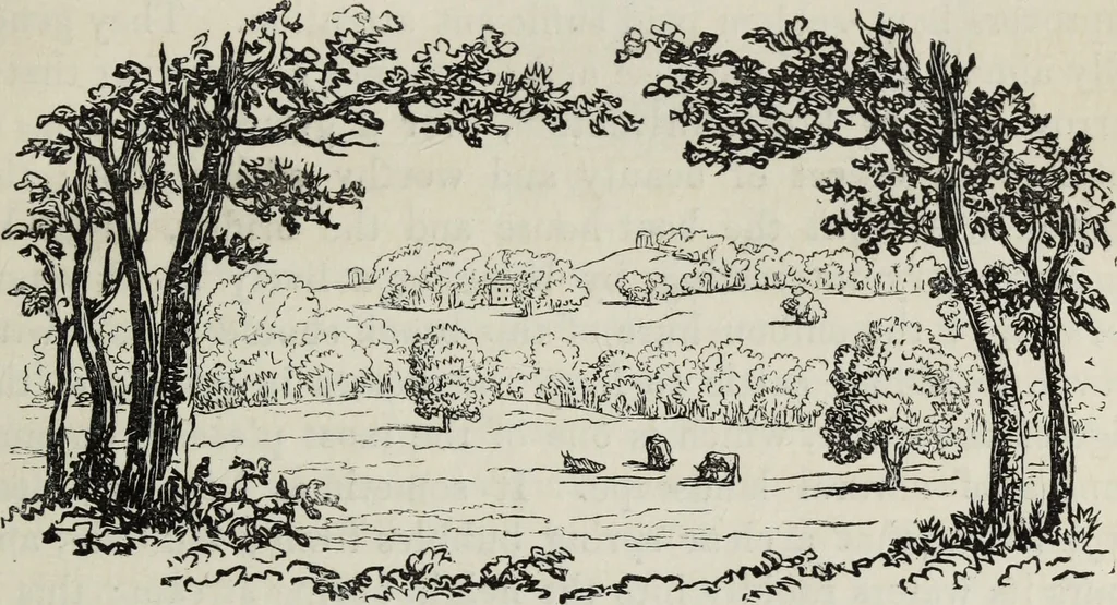 An illustration from The landscape gardening and landscape architecture of the late Humphry Repton, esq., being his entire works on these subjects : ...with historical and scientific introduction, a systematic analysis, a biographical notice, notes, and copious alphabetical index, 1840, leaf 206