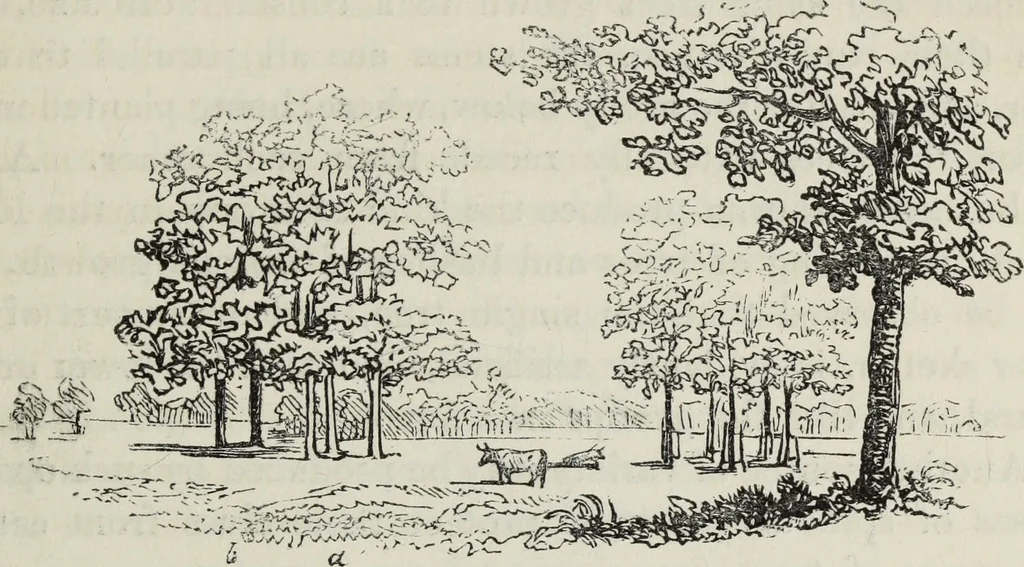 An illustration from The landscape gardening and landscape architecture of the late Humphry Repton, esq., being his entire works on these subjects : ...with historical and scientific introduction, a systematic analysis, a biographical notice, notes, and copious alphabetical index, 1840, leaf 212