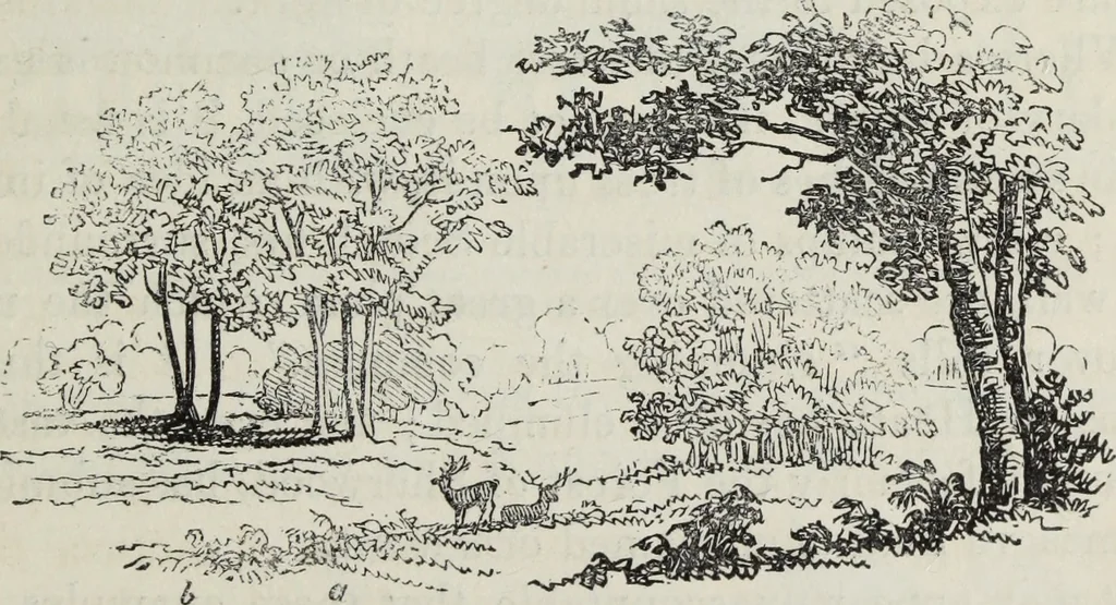 An illustration from The landscape gardening and landscape architecture of the late Humphry Repton, esq., being his entire works on these subjects : ...with historical and scientific introduction, a systematic analysis, a biographical notice, notes, and copious alphabetical index, 1840, leaf 212