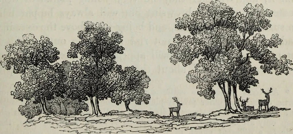 An illustration from The landscape gardening and landscape architecture of the late Humphry Repton, esq., being his entire works on these subjects : ...with historical and scientific introduction, a systematic analysis, a biographical notice, notes, and copious alphabetical index, 1840, leaf 214