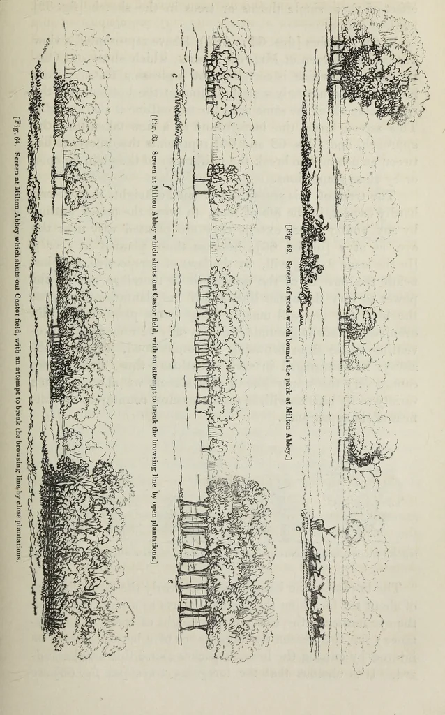 An illustration from The landscape gardening and landscape architecture of the late Humphry Repton, esq., being his entire works on these subjects : ...with historical and scientific introduction, a systematic analysis, a biographical notice, notes, and copious alphabetical index, 1840, leaf 216