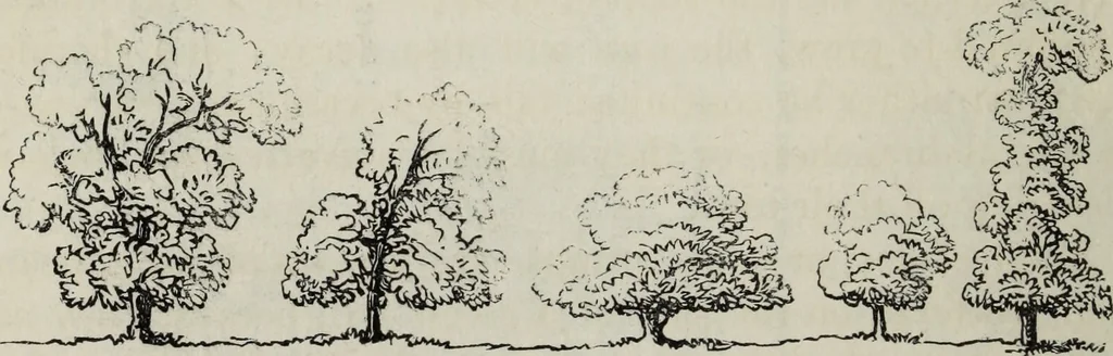 An illustration from The landscape gardening and landscape architecture of the late Humphry Repton, esq., being his entire works on these subjects : ...with historical and scientific introduction, a systematic analysis, a biographical notice, notes, and copious alphabetical index, 1840, leaf 217