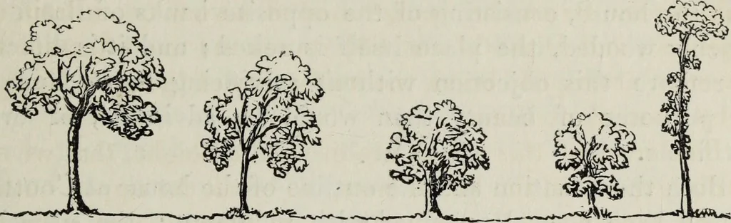 An illustration from The landscape gardening and landscape architecture of the late Humphry Repton, esq., being his entire works on these subjects : ...with historical and scientific introduction, a systematic analysis, a biographical notice, notes, and copious alphabetical index, 1840, leaf 218