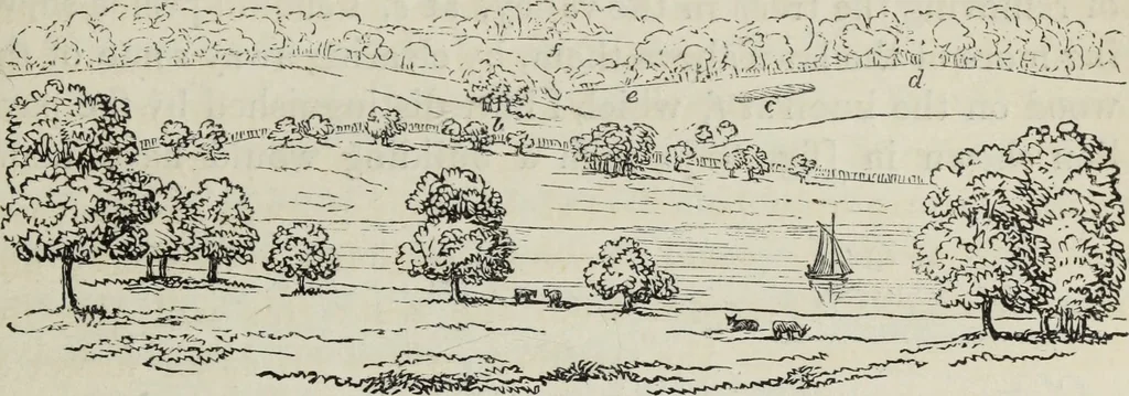 An illustration from The landscape gardening and landscape architecture of the late Humphry Repton, esq., being his entire works on these subjects : ...with historical and scientific introduction, a systematic analysis, a biographical notice, notes, and copious alphabetical index, 1840, leaf 226