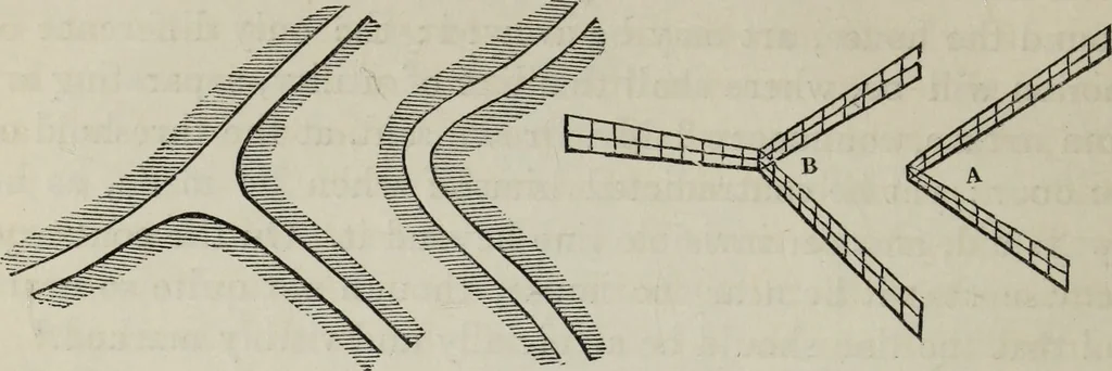 An illustration from The landscape gardening and landscape architecture of the late Humphry Repton, esq., being his entire works on these subjects : ...with historical and scientific introduction, a systematic analysis, a biographical notice, notes, and copious alphabetical index, 1840, leaf 245