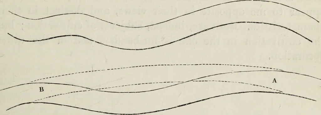 An illustration from The landscape gardening and landscape architecture of the late Humphry Repton, esq., being his entire works on these subjects : ...with historical and scientific introduction, a systematic analysis, a biographical notice, notes, and copious alphabetical index, 1840, leaf 246