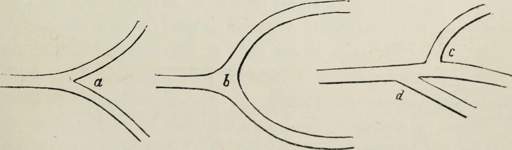 An illustration from The landscape gardening and landscape architecture of the late Humphry Repton, esq., being his entire works on these subjects : ...with historical and scientific introduction, a systematic analysis, a biographical notice, notes, and copious alphabetical index, 1840, leaf 246