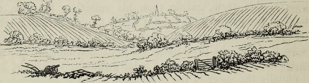 An illustration from The landscape gardening and landscape architecture of the late Humphry Repton, esq., being his entire works on these subjects : ...with historical and scientific introduction, a systematic analysis, a biographical notice, notes, and copious alphabetical index, 1840, leaf 249