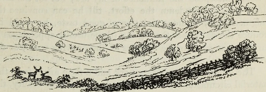 An illustration from The landscape gardening and landscape architecture of the late Humphry Repton, esq., being his entire works on these subjects : ...with historical and scientific introduction, a systematic analysis, a biographical notice, notes, and copious alphabetical index, 1840, leaf 250