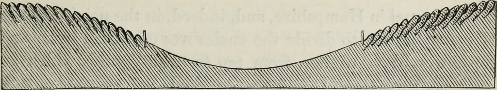 An illustration from The landscape gardening and landscape architecture of the late Humphry Repton, esq., being his entire works on these subjects : ...with historical and scientific introduction, a systematic analysis, a biographical notice, notes, and copious alphabetical index, 1840, leaf 250