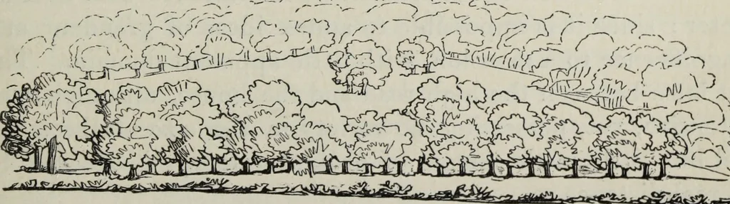 An illustration from The landscape gardening and landscape architecture of the late Humphry Repton, esq., being his entire works on these subjects : ...with historical and scientific introduction, a systematic analysis, a biographical notice, notes, and copious alphabetical index, 1840, leaf 264