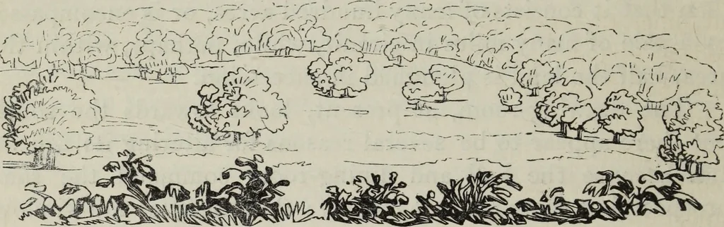 An illustration from The landscape gardening and landscape architecture of the late Humphry Repton, esq., being his entire works on these subjects : ...with historical and scientific introduction, a systematic analysis, a biographical notice, notes, and copious alphabetical index, 1840, leaf 265