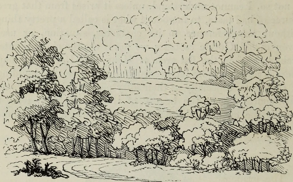 An illustration from The landscape gardening and landscape architecture of the late Humphry Repton, esq., being his entire works on these subjects : ...with historical and scientific introduction, a systematic analysis, a biographical notice, notes, and copious alphabetical index, 1840, leaf 297