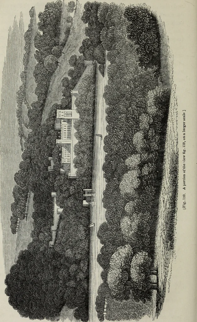 An illustration from The landscape gardening and landscape architecture of the late Humphry Repton, esq., being his entire works on these subjects : ...with historical and scientific introduction, a systematic analysis, a biographical notice, notes, and copious alphabetical index, 1840, leaf 347