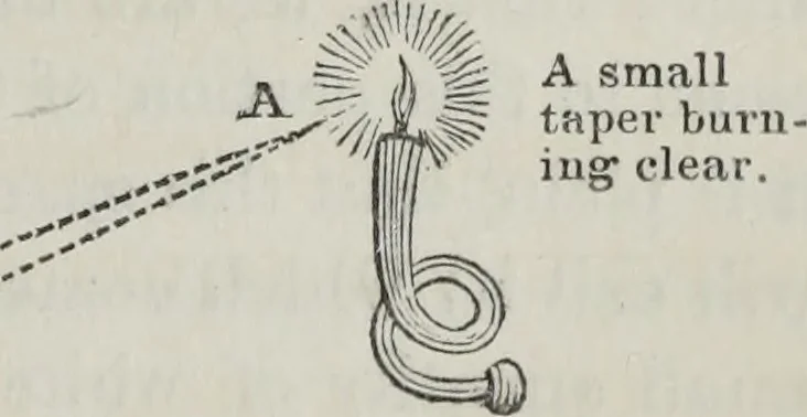 An illustration from The landscape gardening and landscape architecture of the late Humphry Repton, esq., being his entire works on these subjects : ...with historical and scientific introduction, a systematic analysis, a biographical notice, notes, and copious alphabetical index, 1840, leaf 354