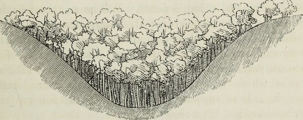 An illustration from The landscape gardening and landscape architecture of the late Humphry Repton, esq., being his entire works on these subjects : ...with historical and scientific introduction, a systematic analysis, a biographical notice, notes, and copious alphabetical index, 1840, leaf 488
