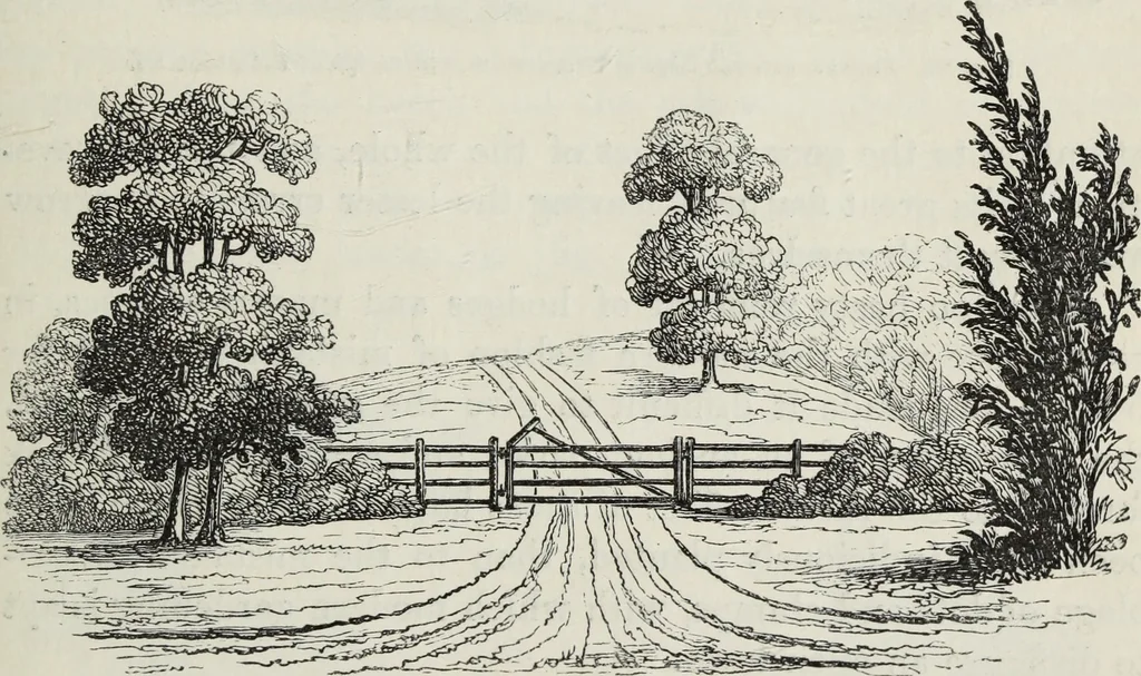 An illustration from The landscape gardening and landscape architecture of the late Humphry Repton, esq., being his entire works on these subjects : ...with historical and scientific introduction, a systematic analysis, a biographical notice, notes, and copious alphabetical index, 1840, leaf 506