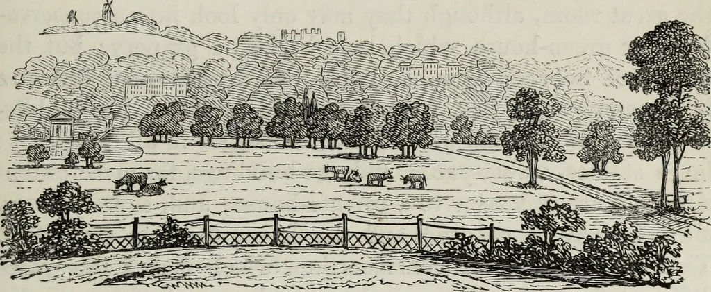 An illustration from The landscape gardening and landscape architecture of the late Humphry Repton, esq., being his entire works on these subjects : ...with historical and scientific introduction, a systematic analysis, a biographical notice, notes, and copious alphabetical index, 1840, leaf 516