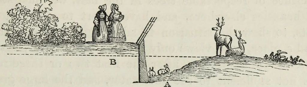 An illustration from The landscape gardening and landscape architecture of the late Humphry Repton, esq., being his entire works on these subjects : ...with historical and scientific introduction, a systematic analysis, a biographical notice, notes, and copious alphabetical index, 1840, leaf 518