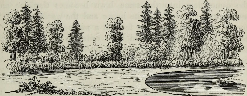 An illustration from The landscape gardening and landscape architecture of the late Humphry Repton, esq., being his entire works on these subjects : ...with historical and scientific introduction, a systematic analysis, a biographical notice, notes, and copious alphabetical index, 1840, leaf 520