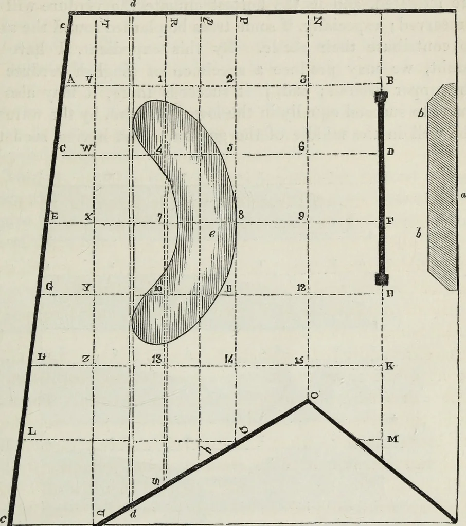 An illustration from The landscape gardening and landscape architecture of the late Humphry Repton, esq., being his entire works on these subjects : ...with historical and scientific introduction, a systematic analysis, a biographical notice, notes, and copious alphabetical index, 1840, leaf 526
