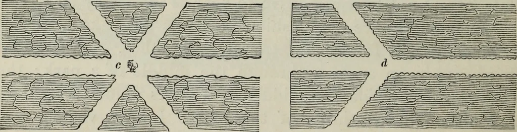 An illustration from The landscape gardening and landscape architecture of the late Humphry Repton, esq., being his entire works on these subjects : ...with historical and scientific introduction, a systematic analysis, a biographical notice, notes, and copious alphabetical index, 1840, leaf 595