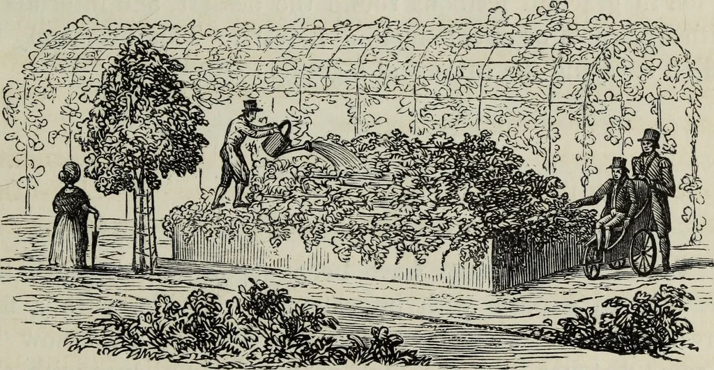 An illustration from The landscape gardening and landscape architecture of the late Humphry Repton, esq., being his entire works on these subjects : ...with historical and scientific introduction, a systematic analysis, a biographical notice, notes, and copious alphabetical index, 1840, leaf 602