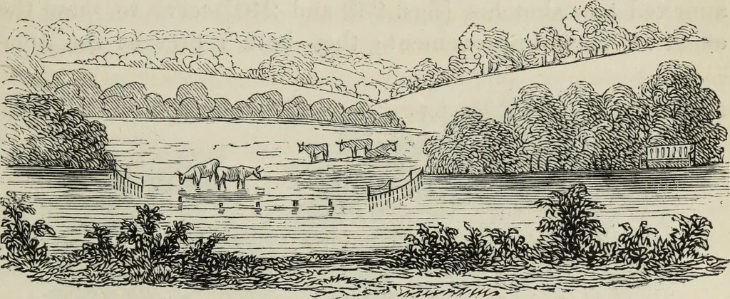 An illustration from The landscape gardening and landscape architecture of the late Humphry Repton, esq., being his entire works on these subjects : ...with historical and scientific introduction, a systematic analysis, a biographical notice, notes, and copious alphabetical index, 1840, leaf 608