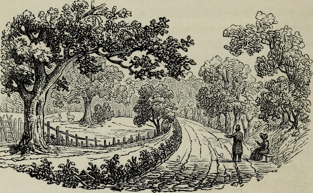 An illustration from The landscape gardening and landscape architecture of the late Humphry Repton, esq., being his entire works on these subjects : ...with historical and scientific introduction, a systematic analysis, a biographical notice, notes, and copious alphabetical index, 1840, leaf 609