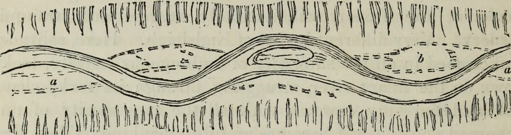 An illustration from The landscape gardening and landscape architecture of the late Humphry Repton, esq., being his entire works on these subjects : ...with historical and scientific introduction, a systematic analysis, a biographical notice, notes, and copious alphabetical index, 1840, leaf 629