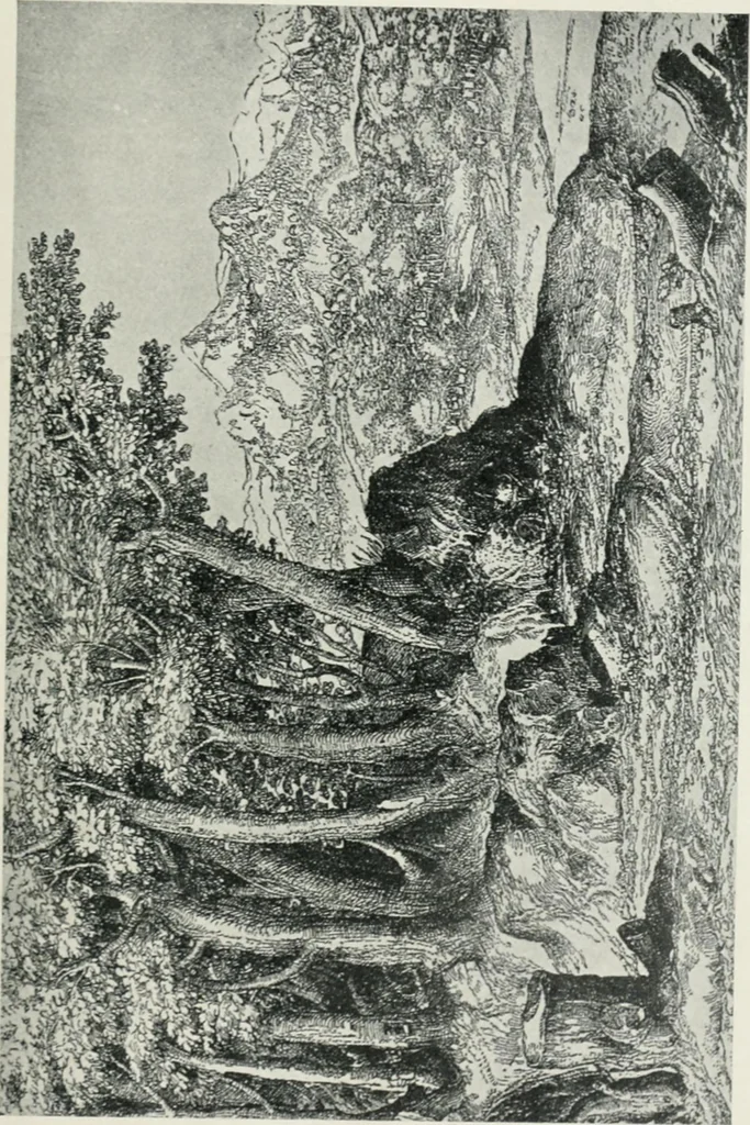An illustration from Landscape painting and modern Dutch artists, 1906, leaf 40