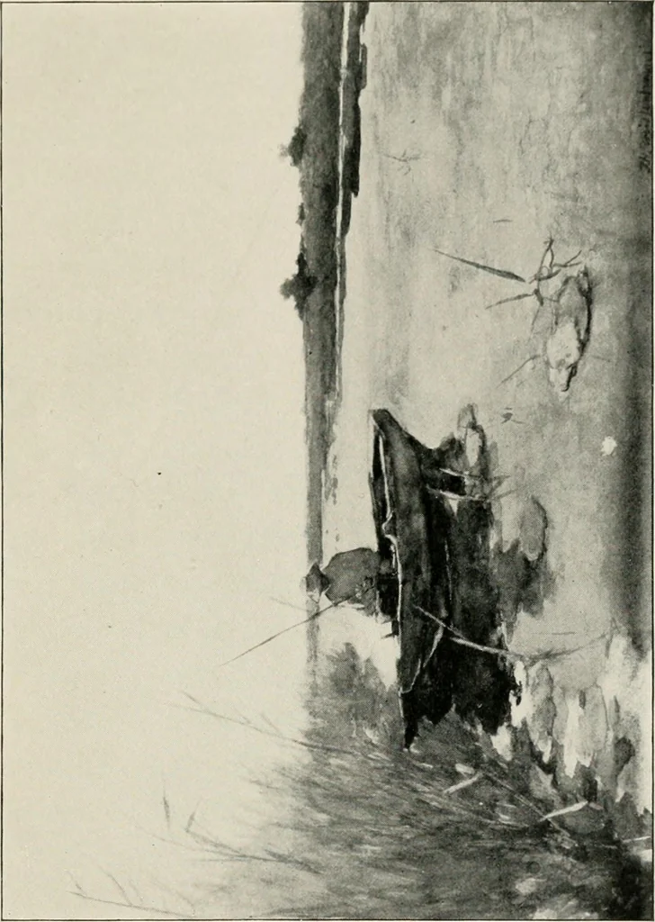 An illustration from Landscape painting and modern Dutch artists, by E. B. Greenshields .., 1906, leaf 105