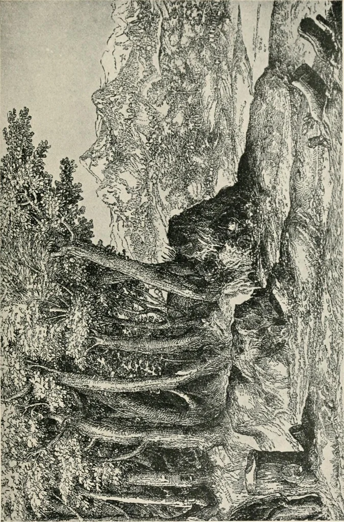 An illustration from Landscape painting and modern Dutch artists, by E. B. Greenshields .., 1906, leaf 39