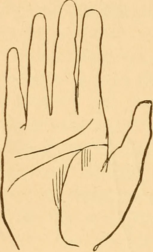 An illustration from The language of the hand, being a concise exposition of the principles and practice of the art of reading the hand, 1899, leaf 113