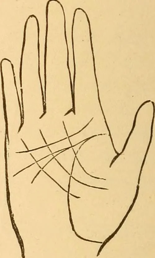 An illustration from The language of the hand, being a concise exposition of the principles and practice of the art of reading the hand, 1899, leaf 113