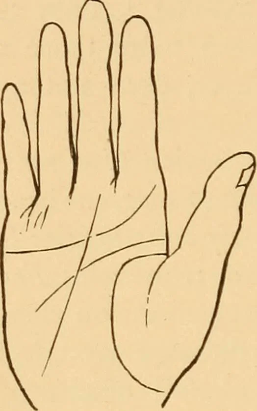 An illustration from The language of the hand, being a concise exposition of the principles and practice of the art of reading the hand, 1899, leaf 119