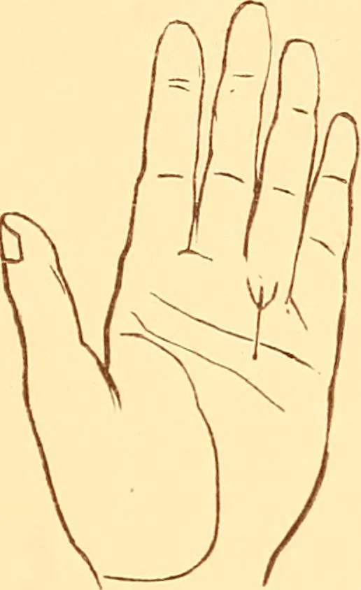 An illustration from The language of the hand, being a concise exposition of the principles and practice of the art of reading the hand, 1899, leaf 128