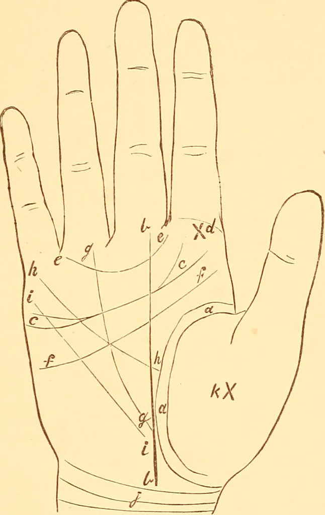 An illustration from The language of the hand, being a concise exposition of the principles and practice of the art of reading the hand, 1899, leaf 136